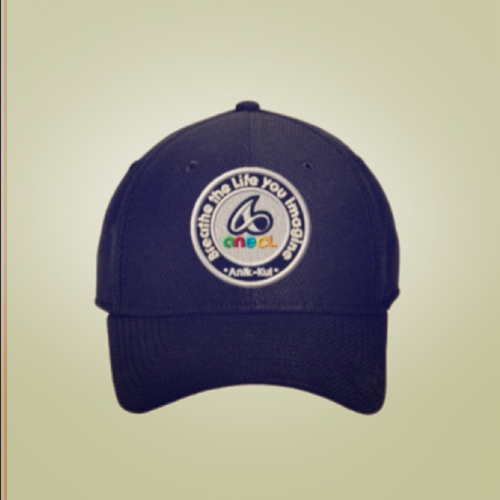 anecl Fitted Hats...